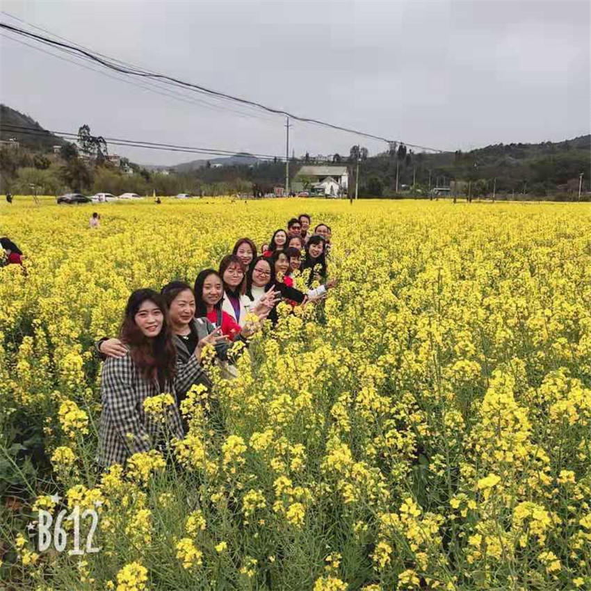 云顶集团·(中国)手机版app下载