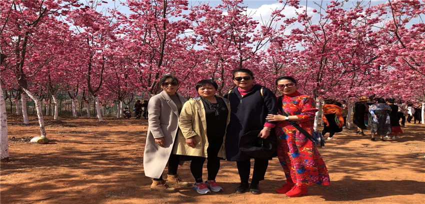 云顶集团·(中国)手机版app下载